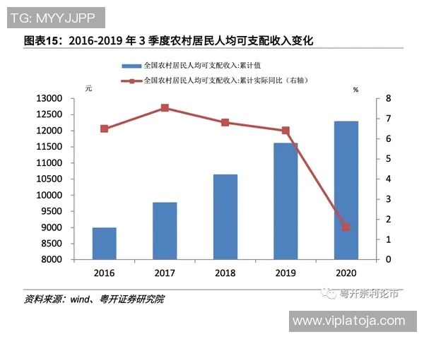 专业解析LNG市场动态与策略运用的深度剖析